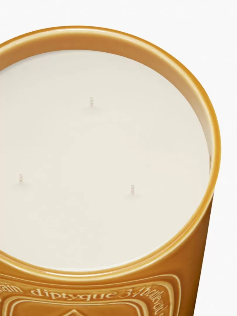 Diptyque Ambre (Amber) Large Candle- See All | Large Candles