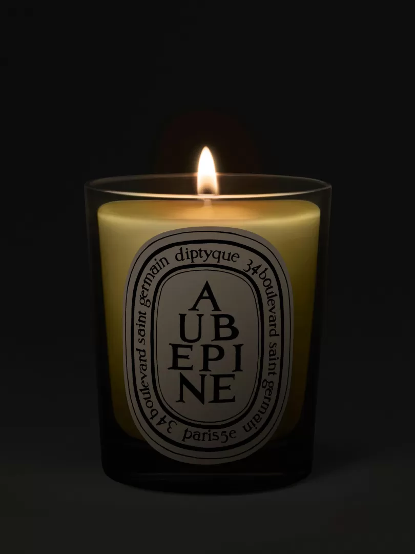 Diptyque Aubépine (Hawthorn) Classic Candle- See All | Classic Candles
