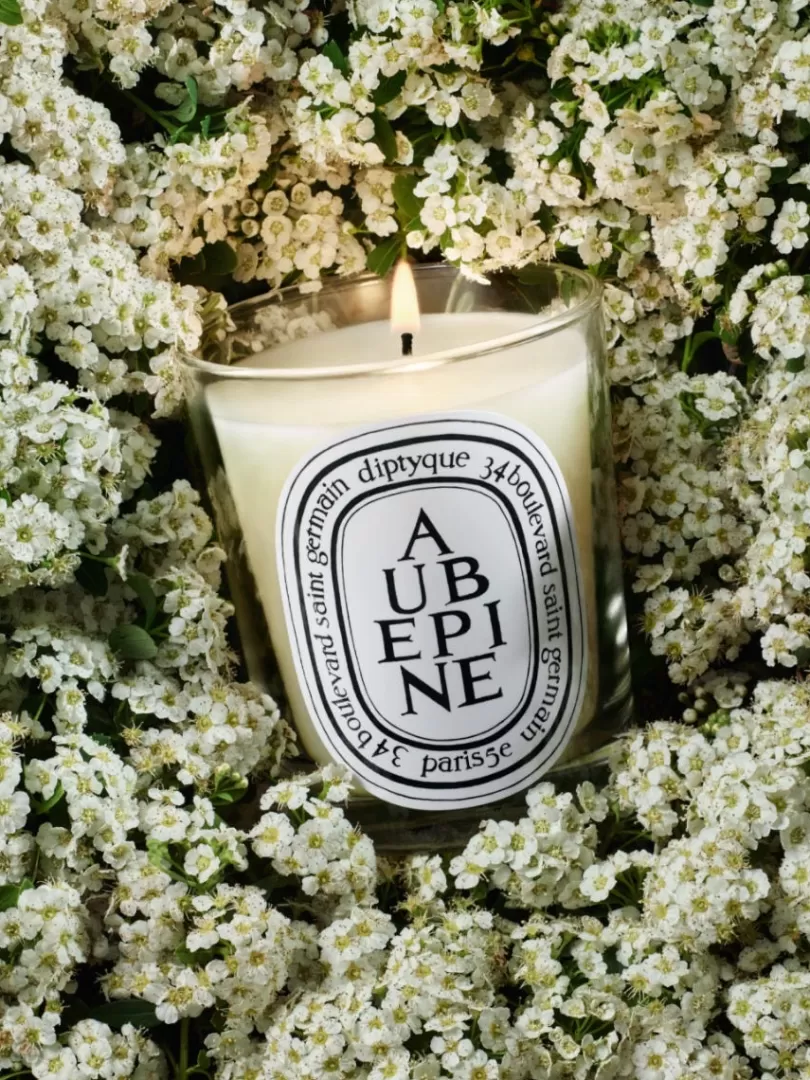 aubpine_hawthorn_classic_candle_2.webp Diptyque Aubépine (Hawthorn) Classic Candle- See All | Classic Candles