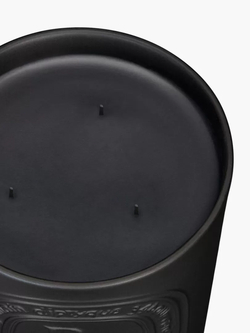 Diptyque Baies (Berries) Large Candle- See All | Large Candles