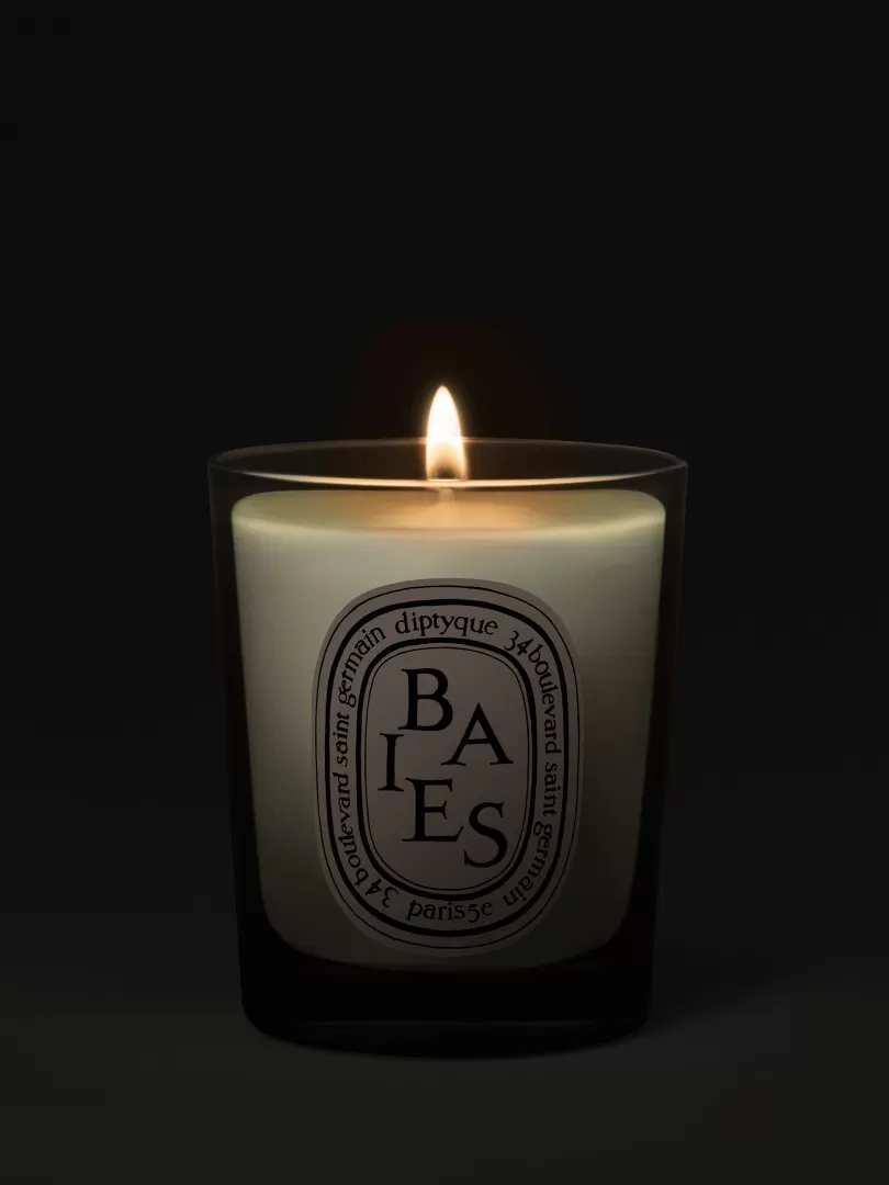 Diptyque Baies (Berries) Small Candle- See All | Small Candles
