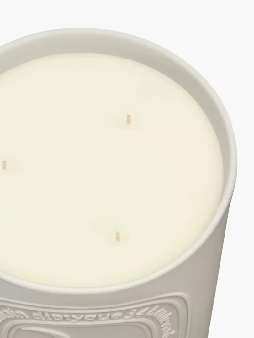Diptyque 34 boulevard Saint Germain Large Candle- See All | Large Candles