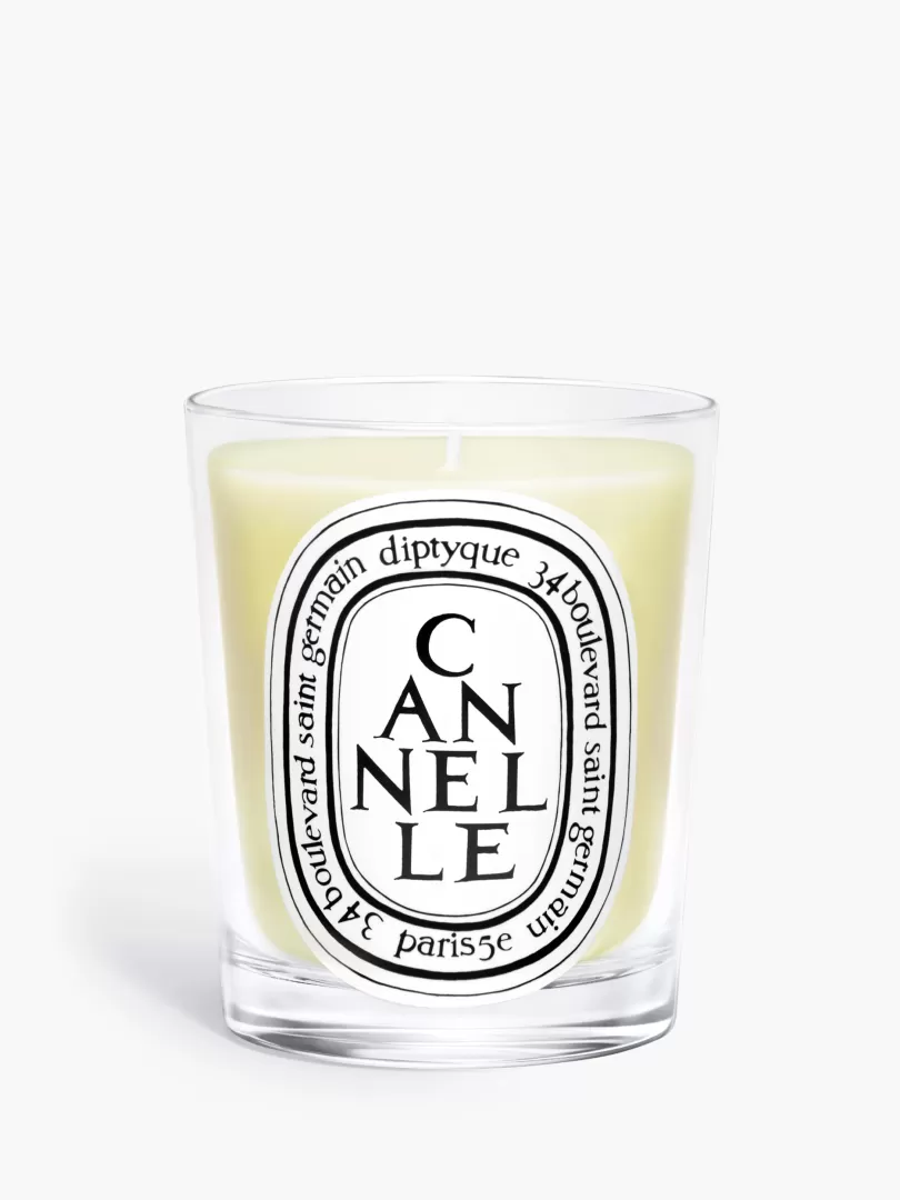Diptyque Cannelle (Cinnamon) Classic Candle- See All | Classic Candles