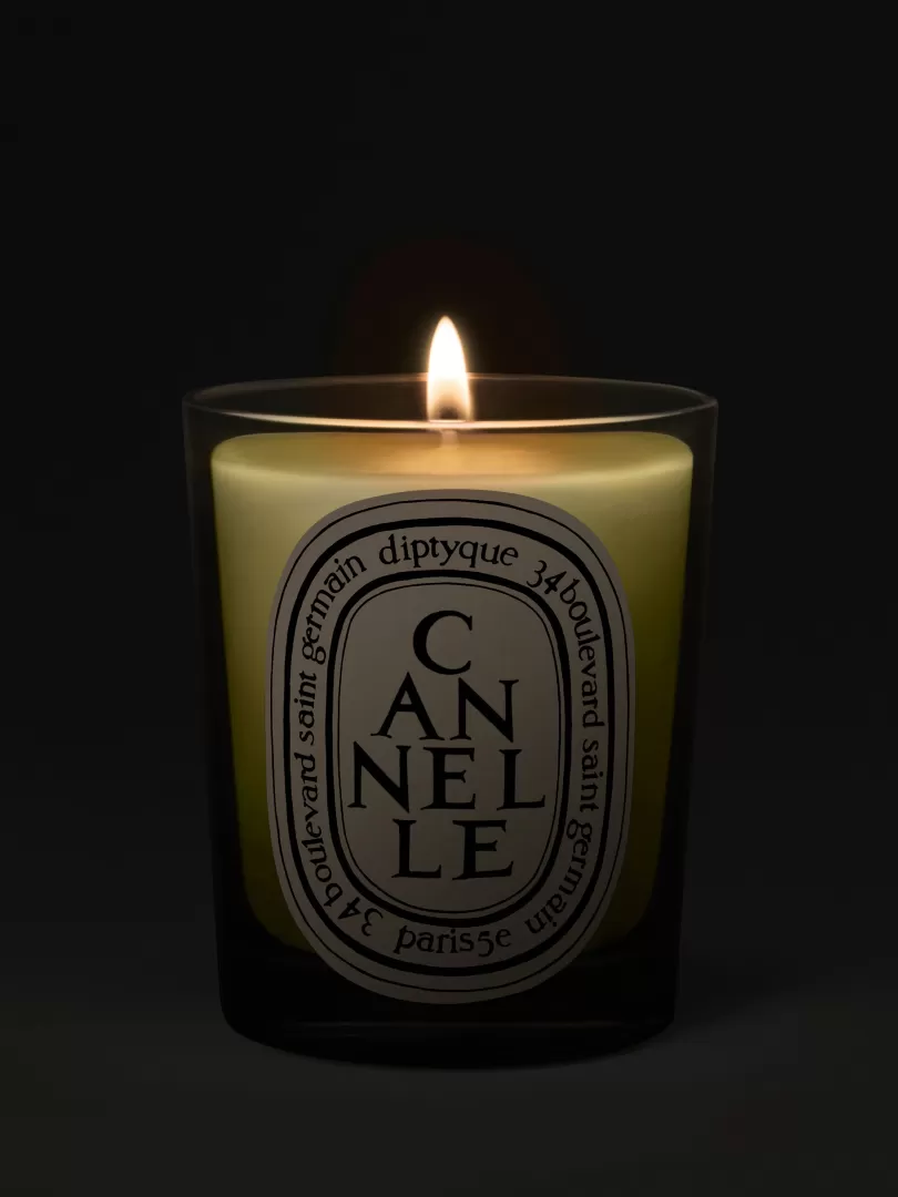 Diptyque Cannelle (Cinnamon) Classic Candle- See All | Classic Candles