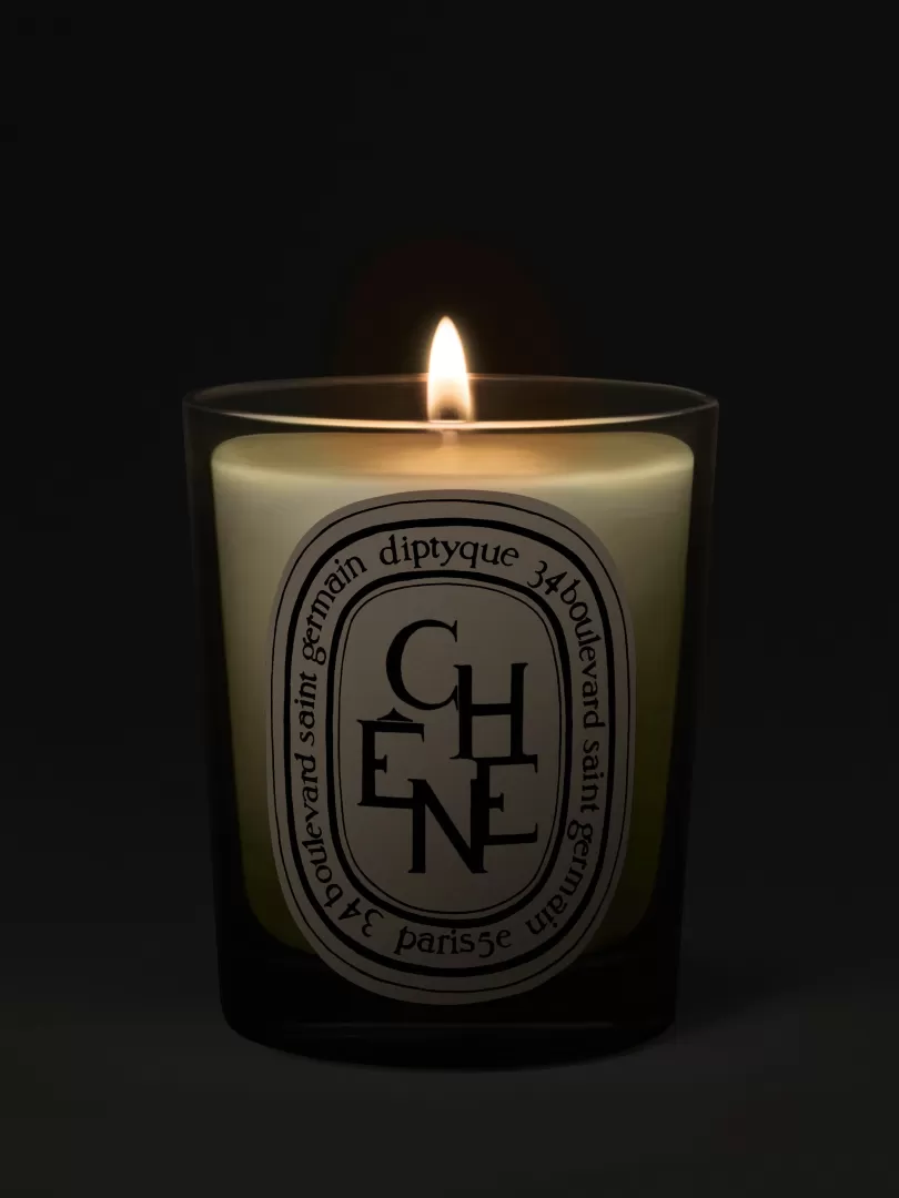Diptyque Chêne (Oak Tree) Classic Candle- See All | Classic Candles