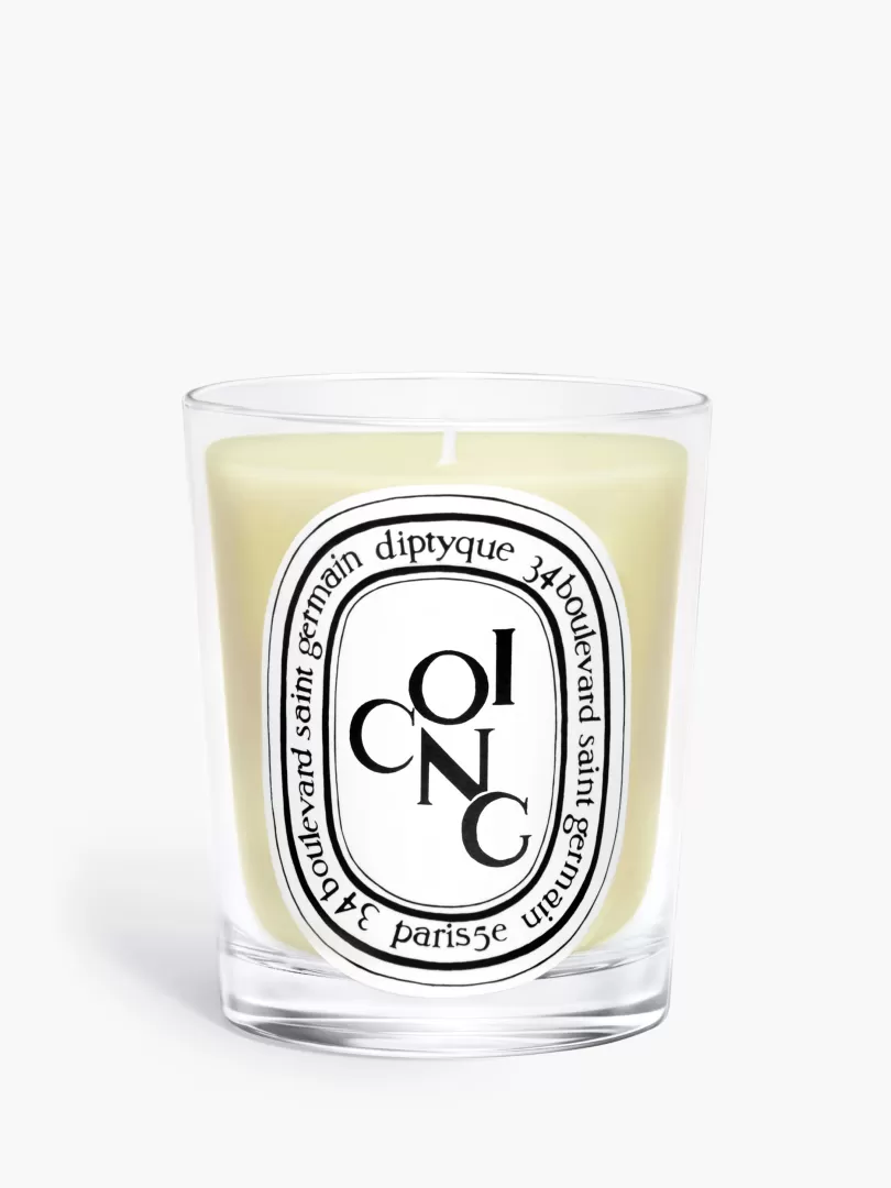 Diptyque Coing (Quince) Classic Candle- See All | Classic Candles