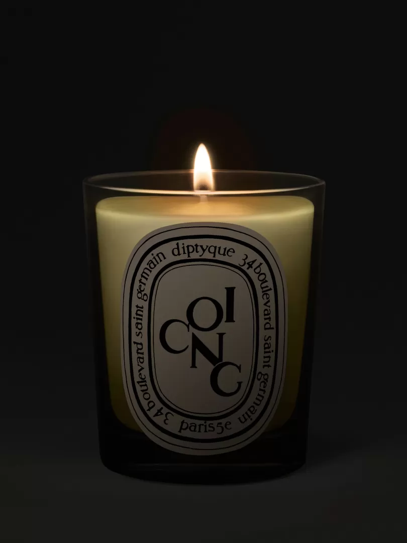 Diptyque Coing (Quince) Classic Candle- See All | Classic Candles