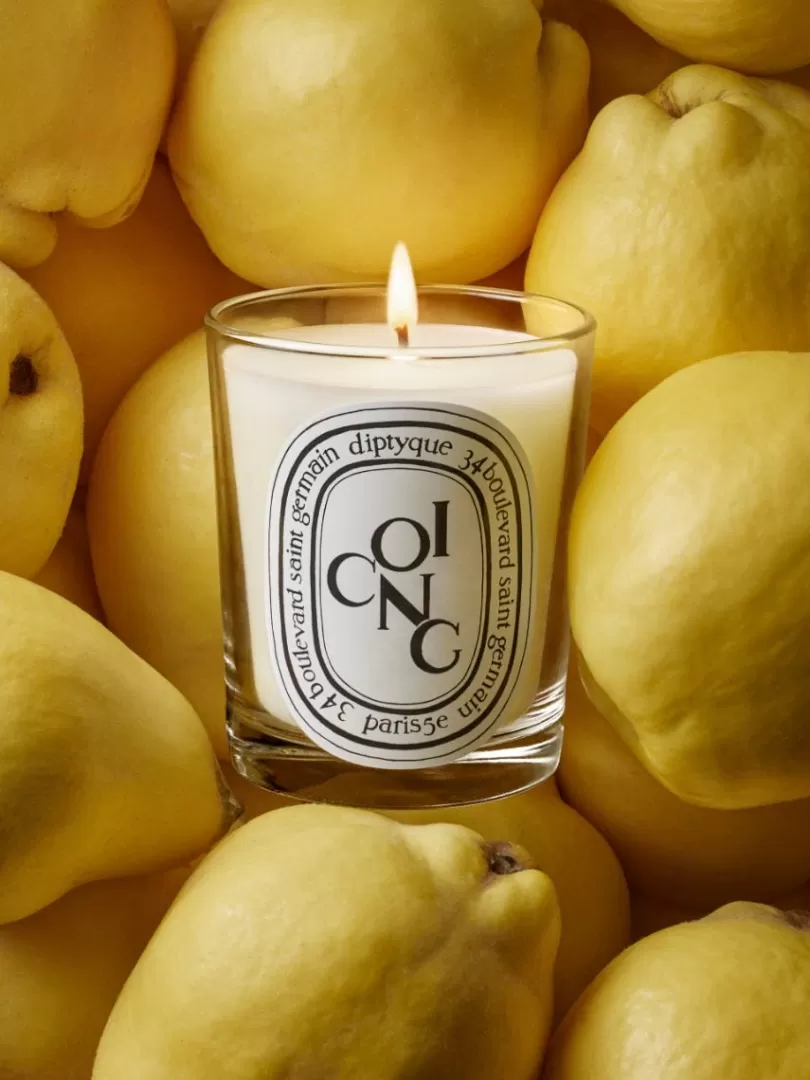 coing_quince_classic_candle_2.webp Diptyque Coing (Quince) Classic Candle- See All | Classic Candles