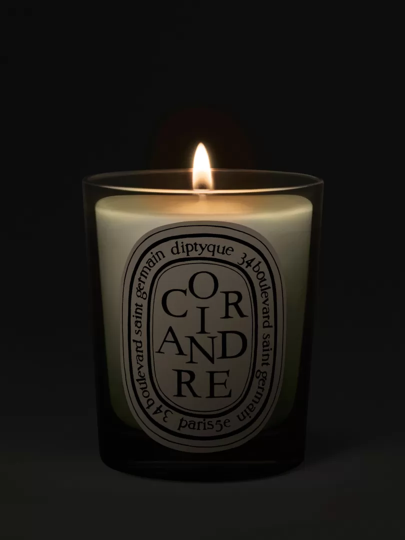 Diptyque Coriandre (Coriander) Classic Candle- See All | Classic Candles