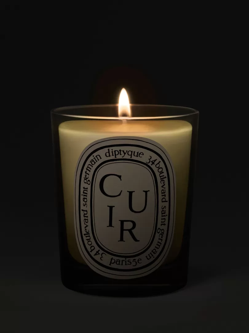 Diptyque Cuir (Leather) Classic Candle- See All | Classic Candles