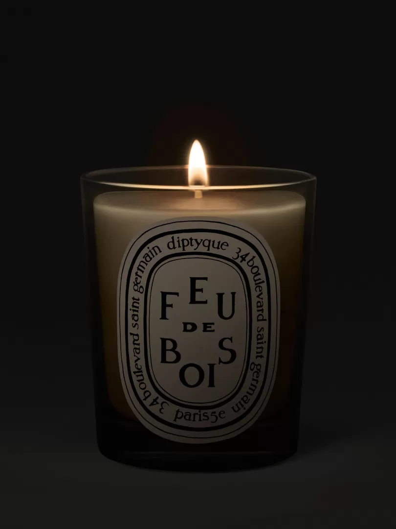 Diptyque Feu de Bois (Wood Fire) Classic Candle- See All | Classic Candles