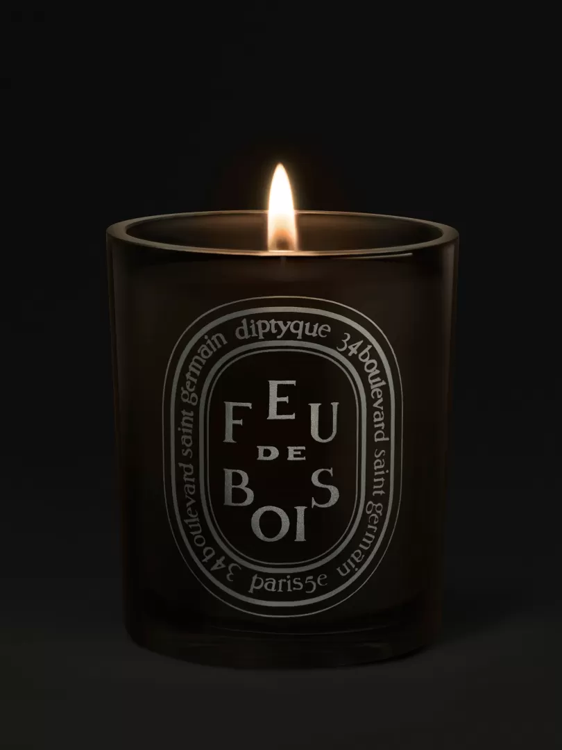 Diptyque Feu de Bois (Wood Fire) Medium Candle- See All | Large Candles