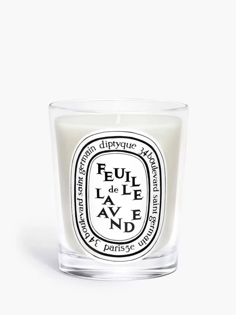 Diptyque Feuille de Lavande (Lavender Leaf) Classic Candle- See All | Classic Candles