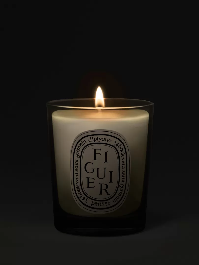 Diptyque Figuier (Fig Tree) Small Candle- See All | Small Candles