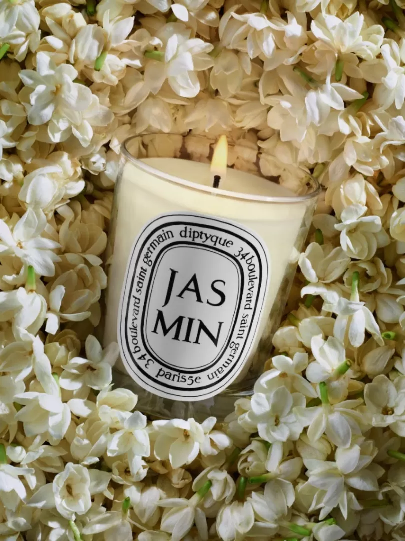 jasmin_jasmine_classic_candle_2.webp Diptyque Jasmin (Jasmine) Classic Candle- See All | Classic Candles