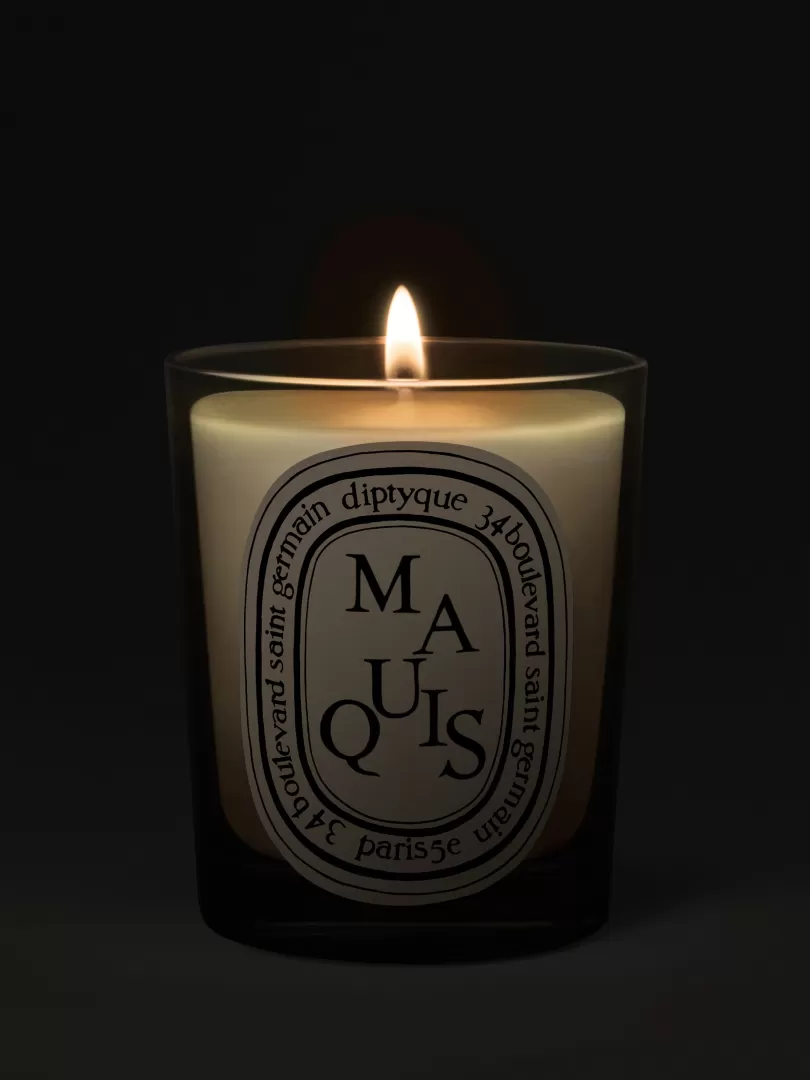 Diptyque Maquis (Scrub) Classic Candle- See All | Classic Candles