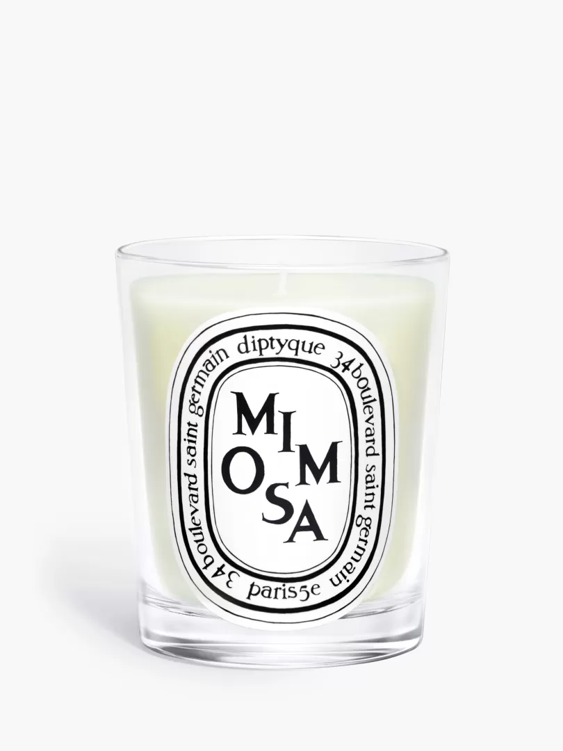 Diptyque Mimosa Classic Candle- See All | Classic Candles