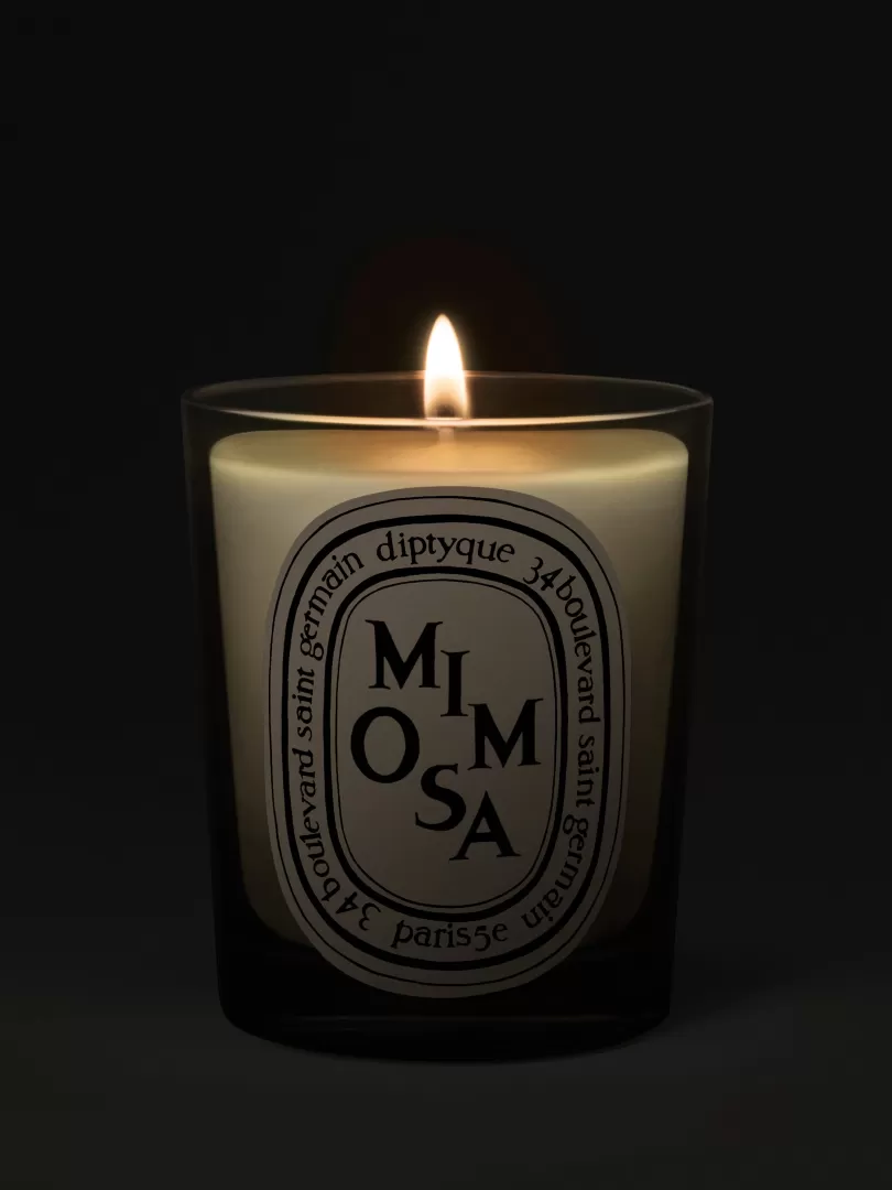 Diptyque Mimosa Classic Candle- See All | Classic Candles