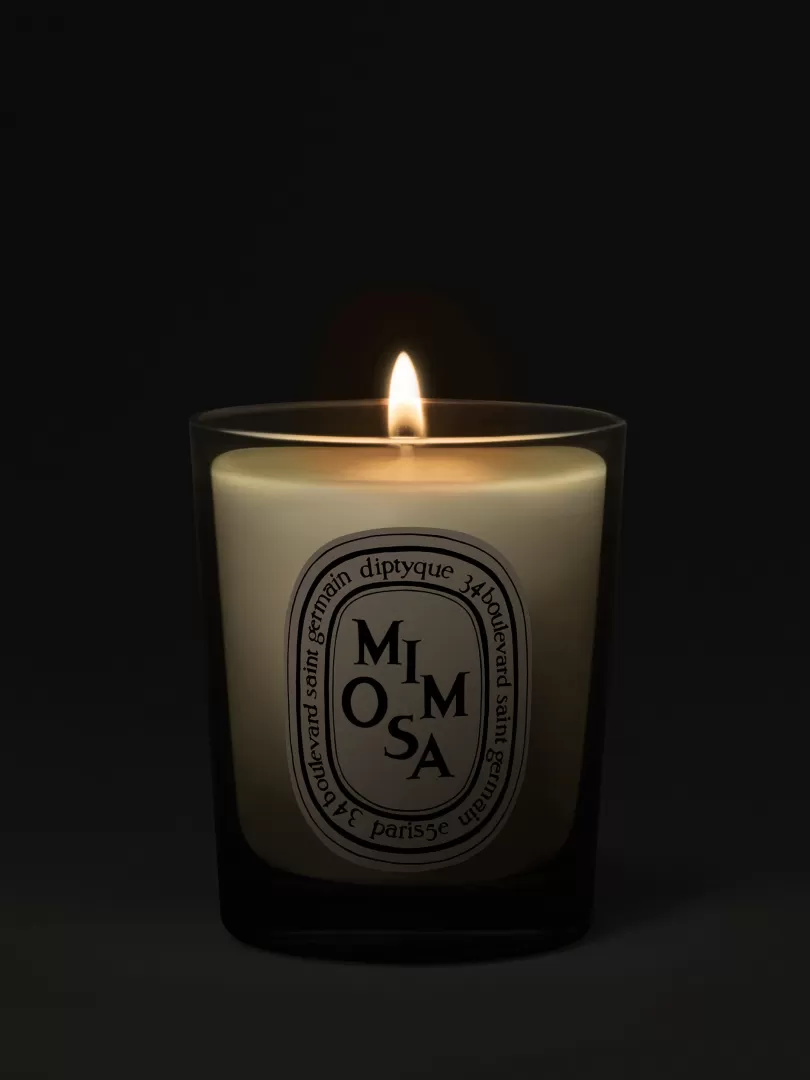 Diptyque Mimosa Small Candle- See All | Small Candles