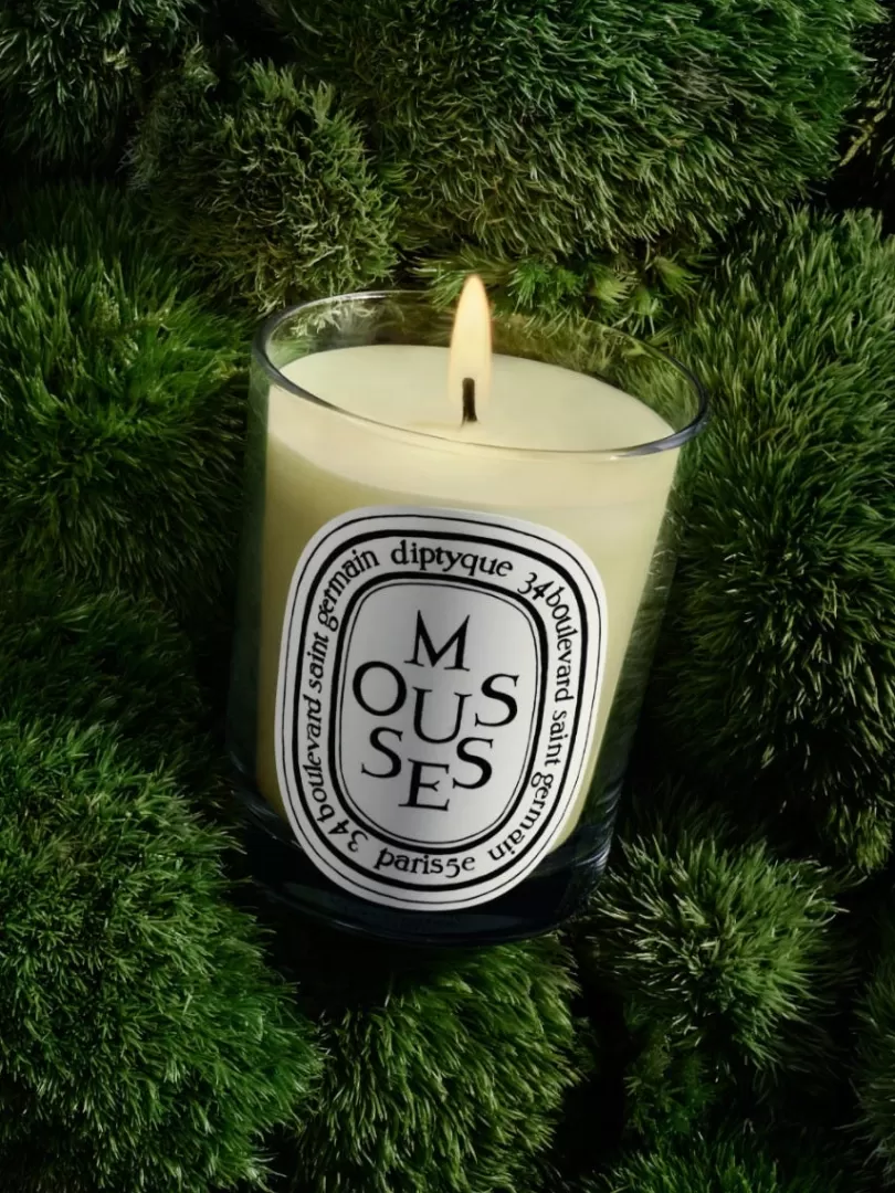 moussesmoss_classic_candle_2.webp Diptyque Mousses(Moss) Classic Candle- See All | Classic Candles