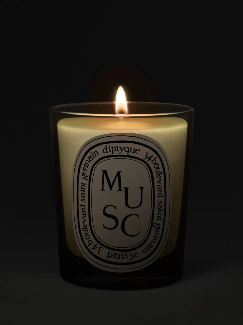 Diptyque Musc (Musk) Classic Candle- See All | Classic Candles