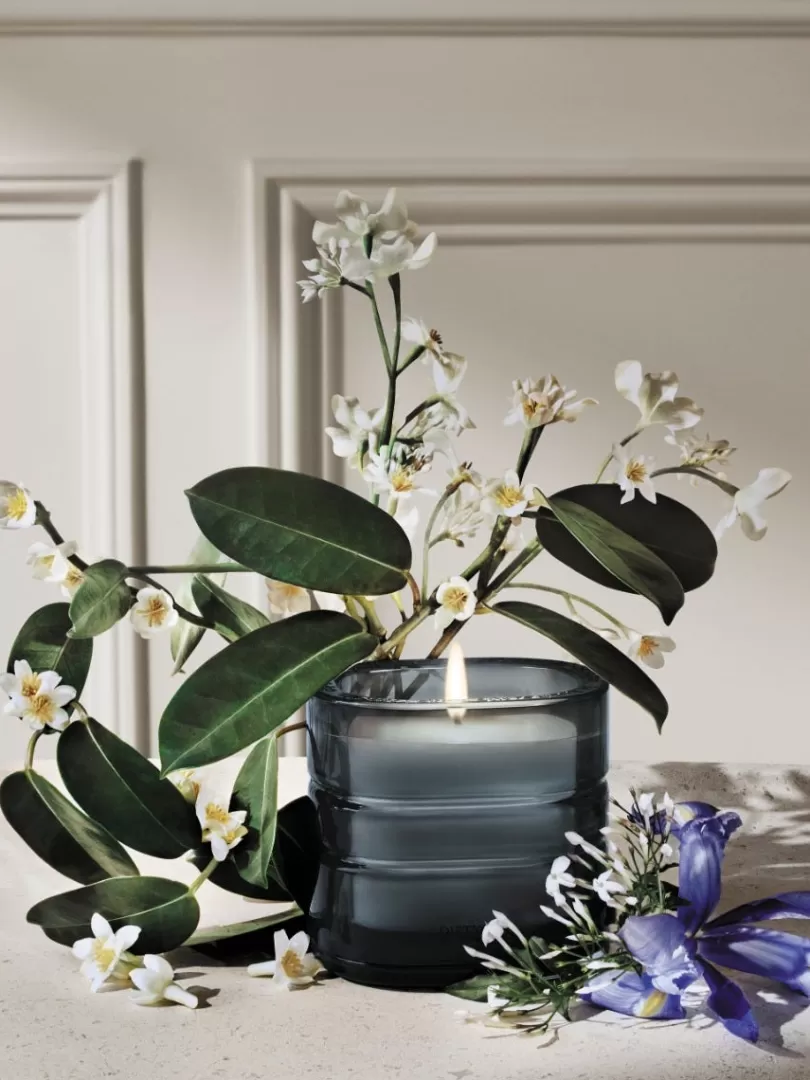 Diptyque Nymphées Merveilles (Nymphaeum of Wonders) Refillable Candle- Exclusives Candles | See All