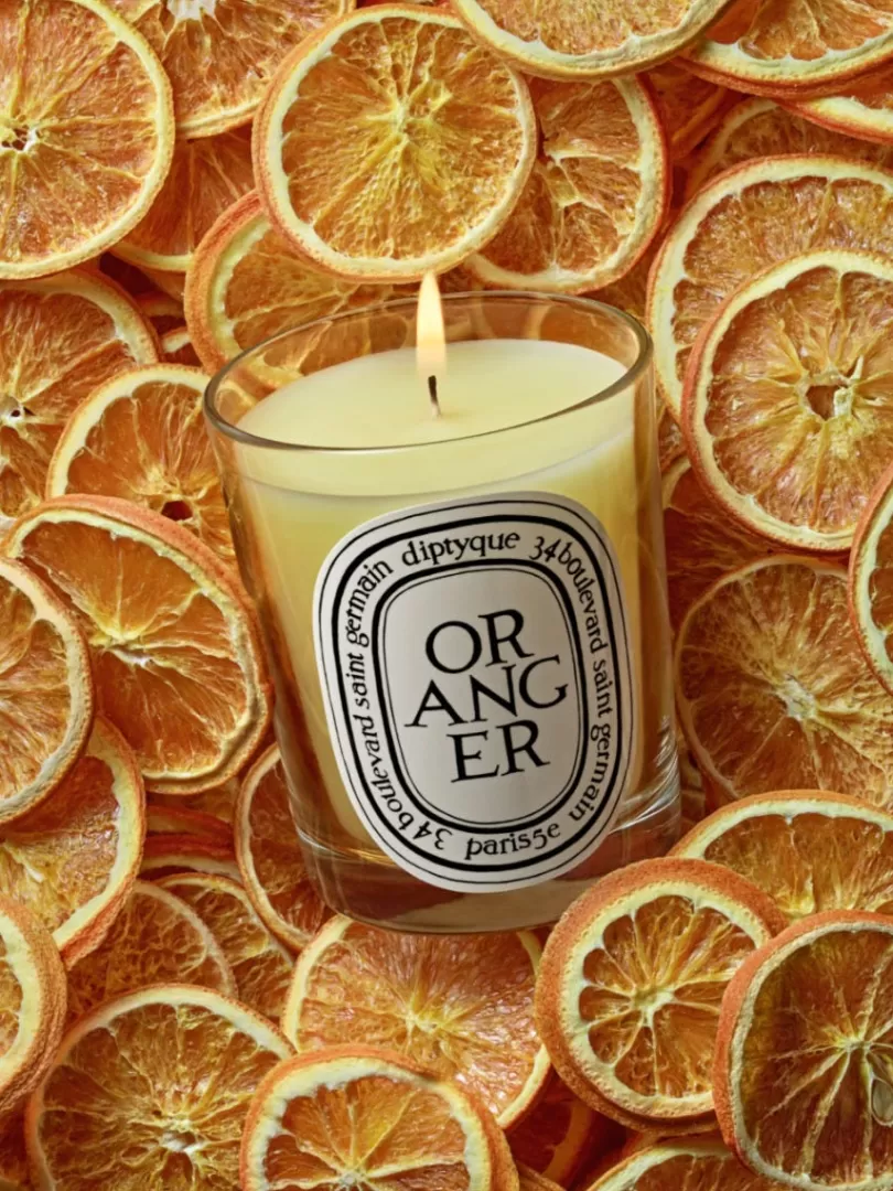 Diptyque Oranger (Orange Tree) Classic Candle- See All | Classic Candles
