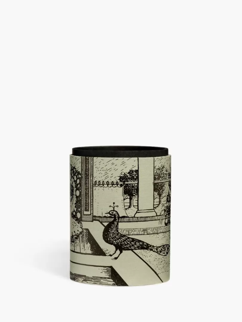 Diptyque Pencil pot Peacock and Plume- See All | Stationery