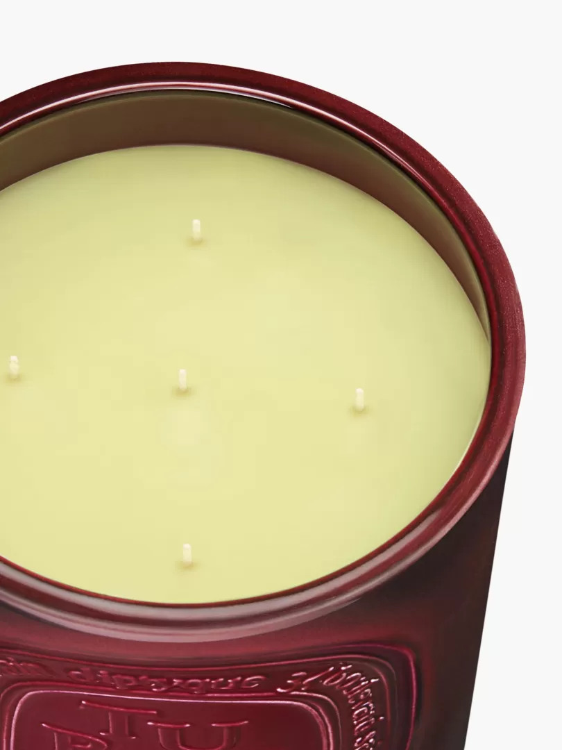 tubreuse_tuberose_very_large_candle_2.webp Diptyque Tubéreuse (Tuberose) Very Large Candle- See All | Large Candles